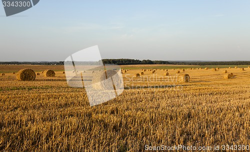 Image of straw stack   