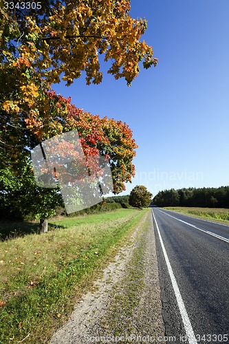 Image of roadside road in autumn  