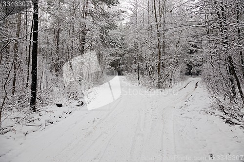 Image of the winter road  