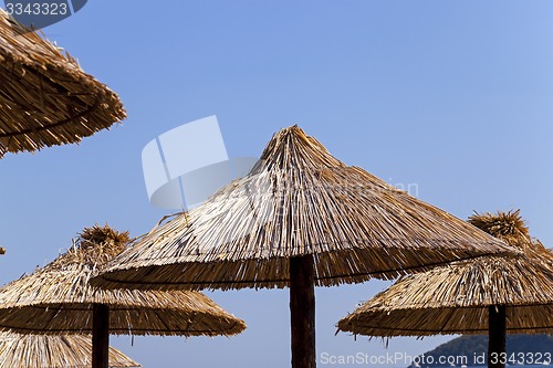 Image of umbrellas on a beach  