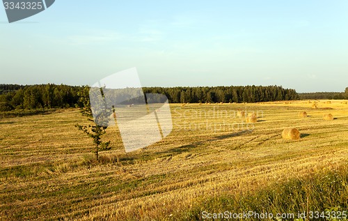 Image of straw stack  