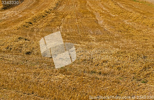 Image of field with straw  