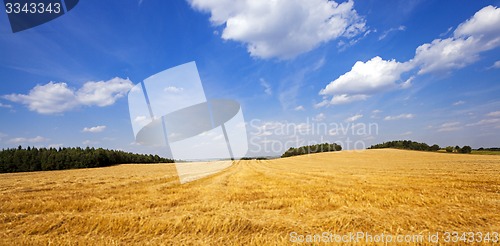 Image of agricultural