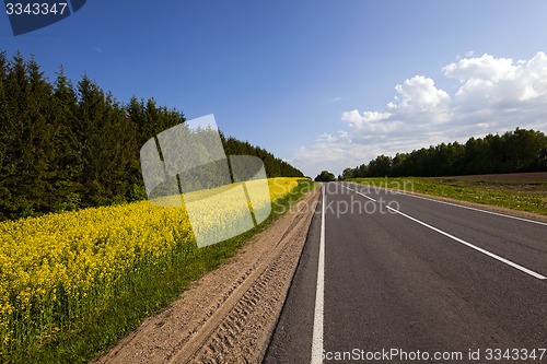 Image of the asphalted road 