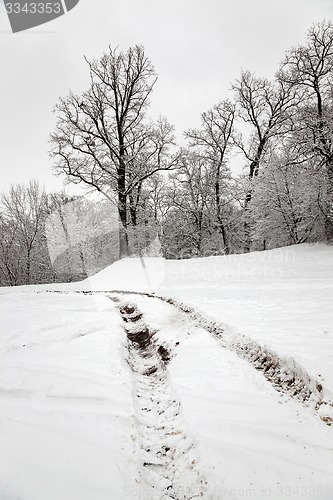 Image of the winter road 