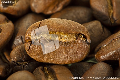 Image of coffee grain  