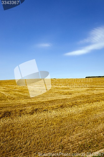 Image of agriculture  