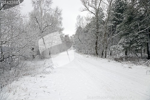 Image of the winter road  