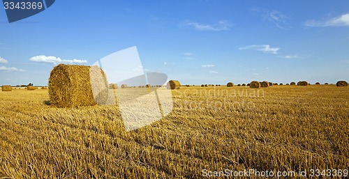 Image of agricultural field  