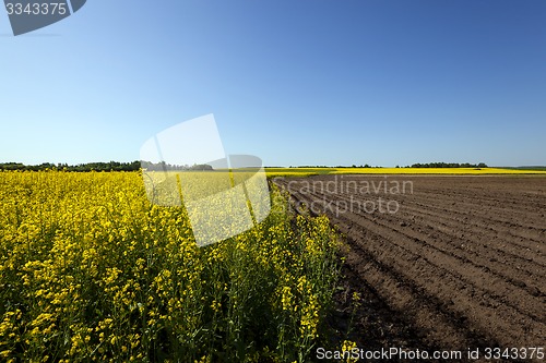 Image of agriculture  