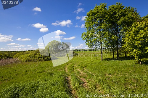 Image of rural road 