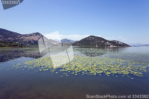 Image of the lake  