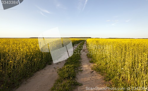 Image of the road to a field  