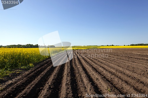 Image of agriculture  