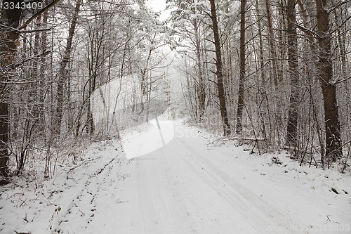 Image of the winter road  