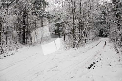 Image of the winter road  