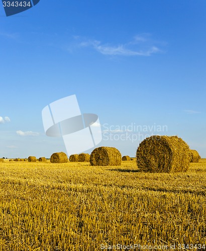 Image of agricultural field  