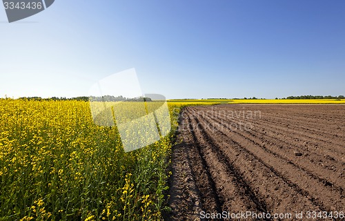 Image of agriculture  