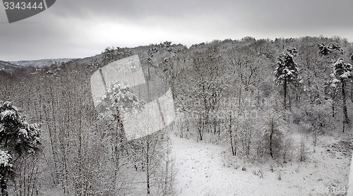 Image of winter landscape 