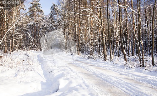 Image of the winter road  