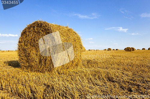 Image of straw stack  