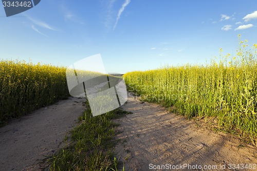 Image of the road to a field  