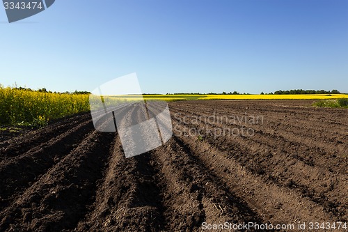 Image of plowed field  