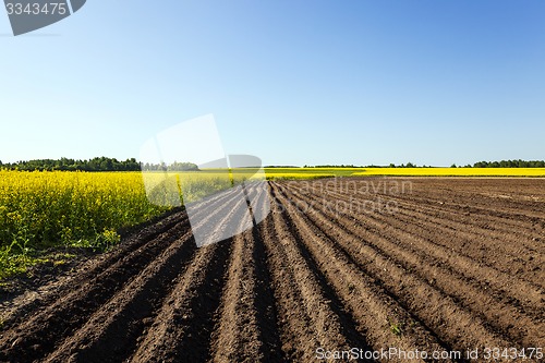 Image of agriculture  