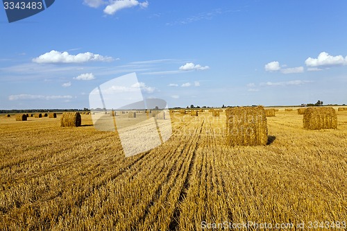 Image of agricultural field  