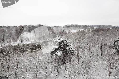 Image of trees in the winter  