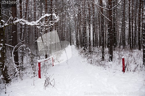 Image of the winter road  