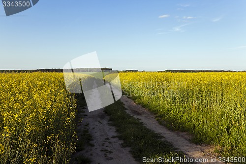 Image of the road to a field  