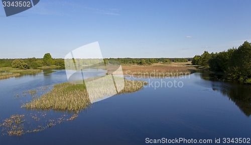 Image of the lake. summer 