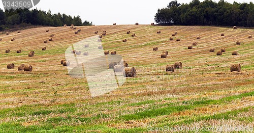 Image of straw stack  