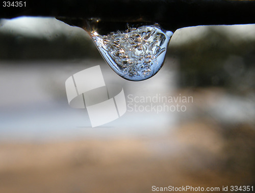 Image of Drop on a branch