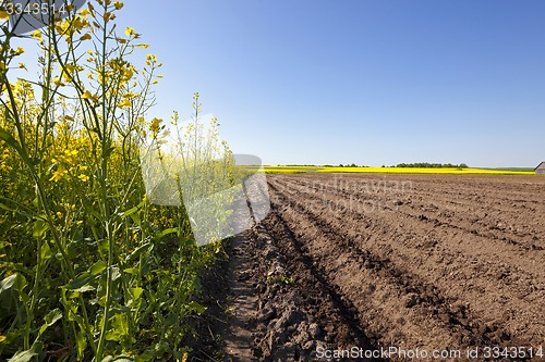 Image of agriculture  