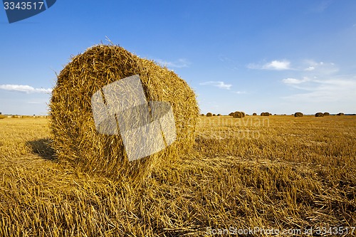 Image of agricultural field