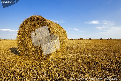 Image of agricultural field