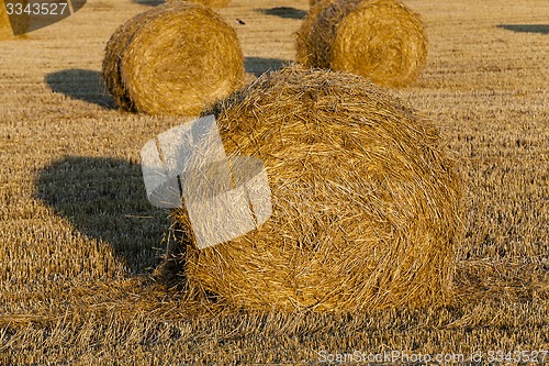 Image of straw stack  