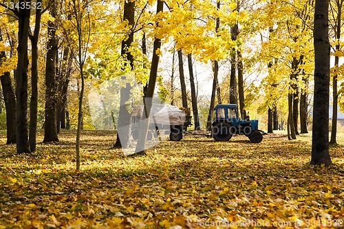 Image of cleaning of foliage in park 