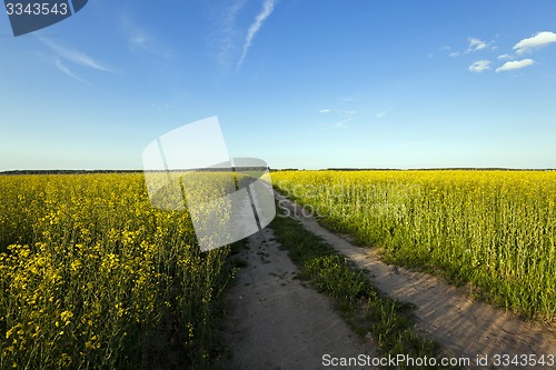 Image of the road to a field  