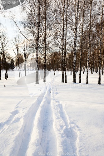 Image of the winter road 