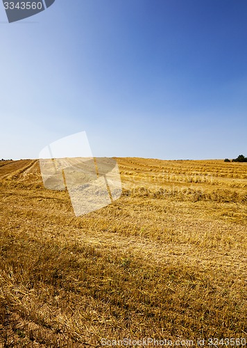 Image of agriculture 