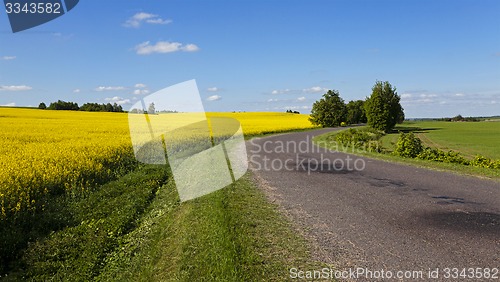 Image of the asphalted road  