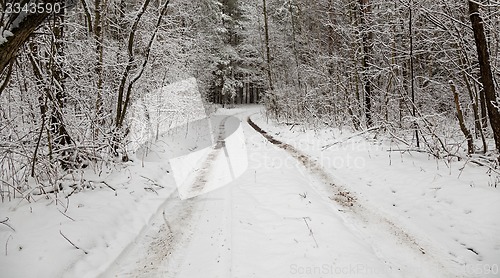 Image of the winter road  