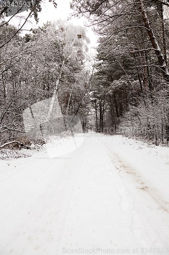 Image of the winter road  