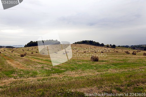 Image of straw stack 