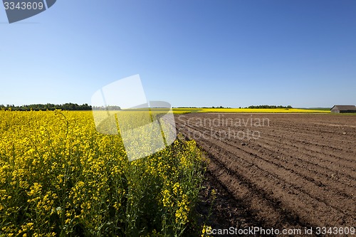 Image of agriculture  