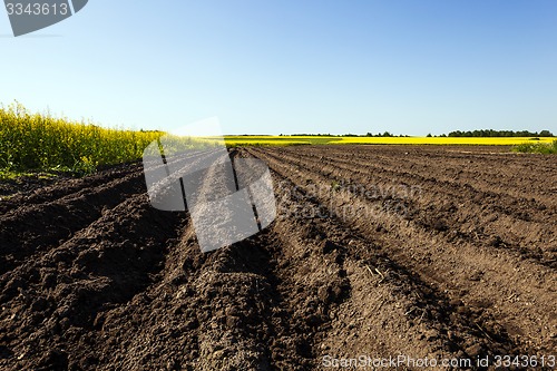 Image of agriculture  