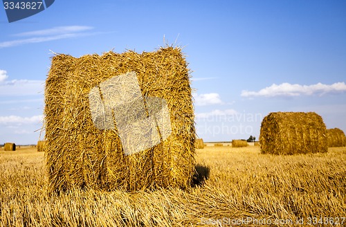 Image of agricultural field  